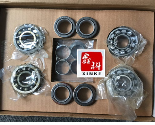 Detroit diesel engine parts,Injector for Detroit,Fuel injector plunger,5227142,5228661,5228870,5229657,5229026,5229516