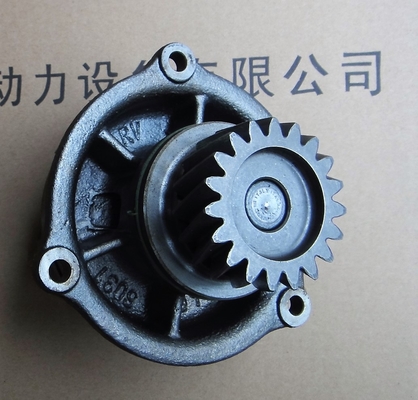 Italy IVECO diesel engine parts，Iveco generator accessories，Iveco water pump,98497117，8029068，39200208